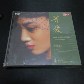 未开封 《欧美DJ风靡》 发烧友音乐CD