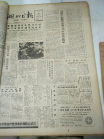 湖北日报1990年1月5日