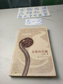 思维的乐趣