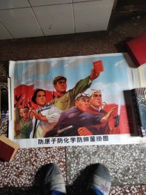 三防挂图，30张全，1971