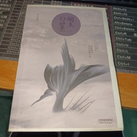 明王幻世录（下）