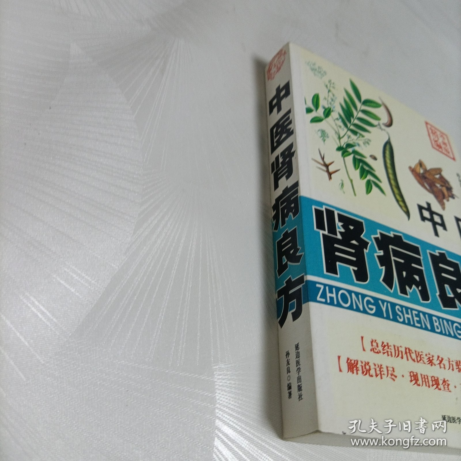 中医肾病良方【孙友良主编】