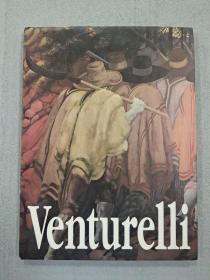 venture11i