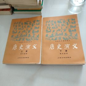 唐史演义 上下册