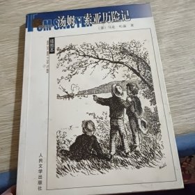 汤姆·索亚历险记
