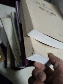 赓续一脉同心共荣第二届道教文化与台商大陆精神家园研讨会论文集上下（又一套）