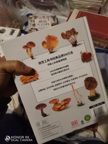 DK蘑菇大百科(视觉工具书经典品牌DK打造，可以放在书架上的蘑菇博物馆；真菌狂热分子的不二选择)