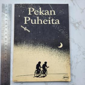 Pekan Puheita 芬兰