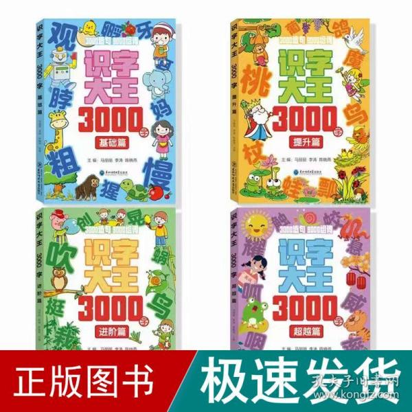 识字大王3000字(全4册)