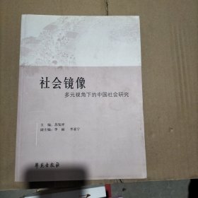 社会镜像——多元视角下的中国社会研究