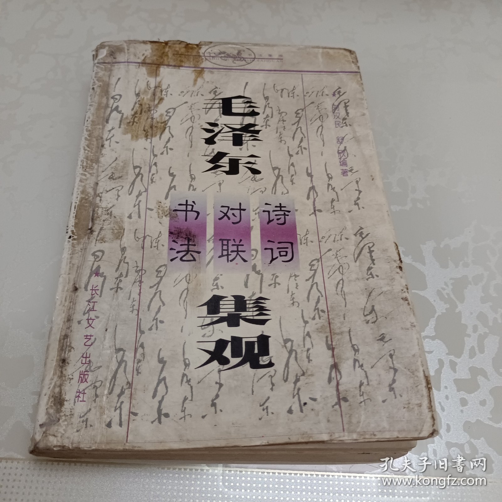 毛泽东诗词对联书法集观