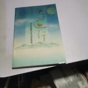 访孤独居士王力平先生