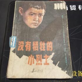 没有牺牲的小烈士