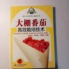 大棚番茄高效栽培技术