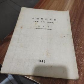人体解剖实习(胸部 腹部 頭頸部)1946年出版、孔网孤本