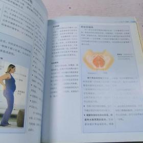 怀孕圣典：从受孕到分娩全程指南（全新升级版）（精装）