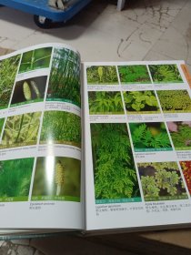 上海植物图鉴·草本卷