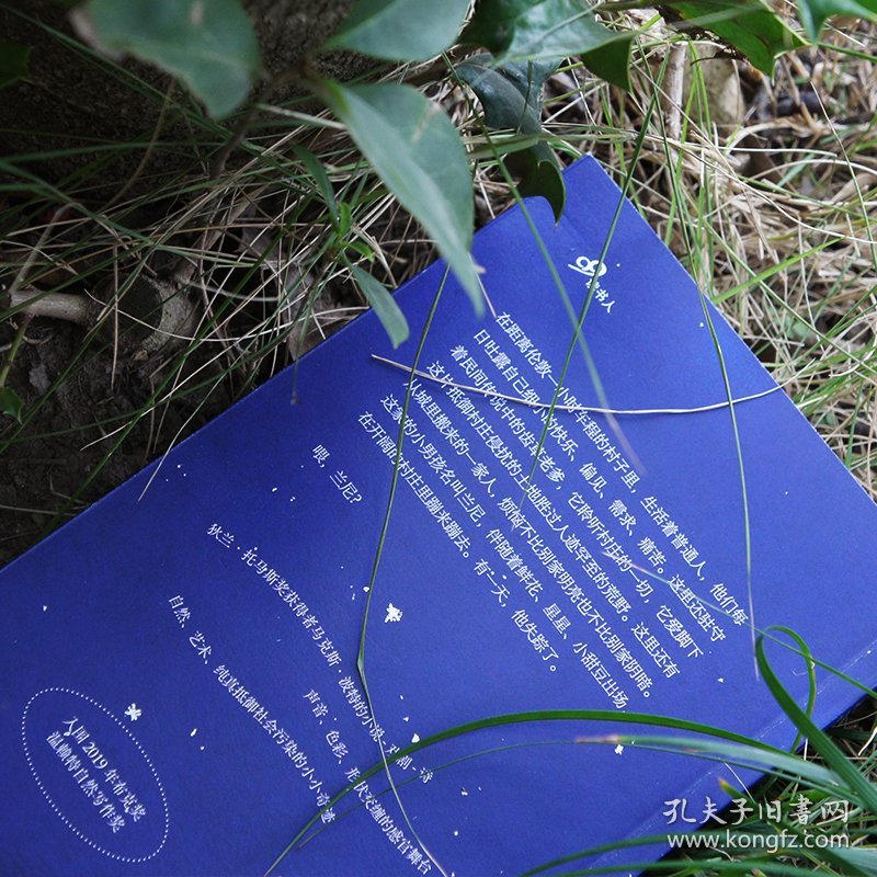 兰尼 星星、植物与只言片语
