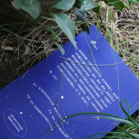 兰尼 星星、植物与只言片语
