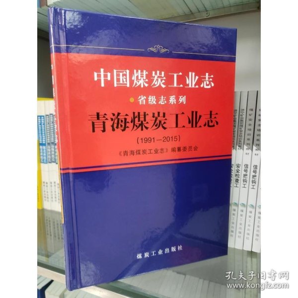 中国煤炭工业志 青海煤炭工业志（1991-2015）