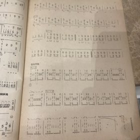 春到拉萨(民族器乐曲丛列)