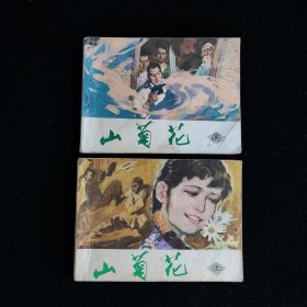 山菊花 连环画上下册