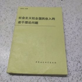 社会主义社会国民收入的若干理论问题