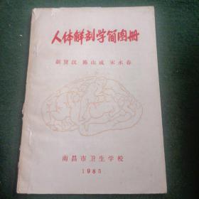 人体解剖学简图册