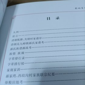 家谱类: 《郝姓家谱》（山西省孝义市兑九峪镇） 16开精装，2020年续编 ，128页!