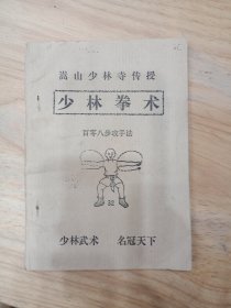 少林拳术