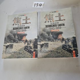 焦土:苏德战争(1943-1944)（全两册）