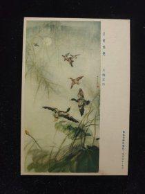 1955年美术画片：月亮飞鸟（王渔父，朝花美术出版社，北京）