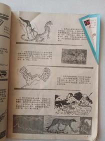 1982年9少年科学画报