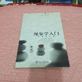 现象学入门：反思性分析