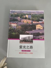 紫光之路