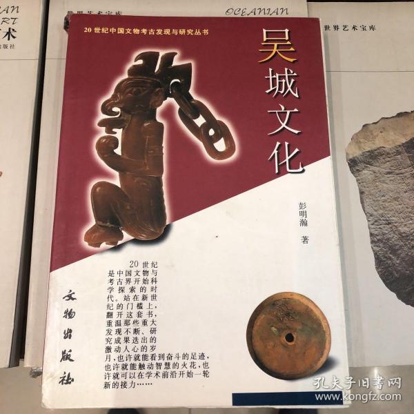 吴城文化：20世纪中国文物考古发现与研究丛书