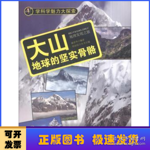 学科学魅力大探索 大山：地球的坚实骨骼（彩图版）