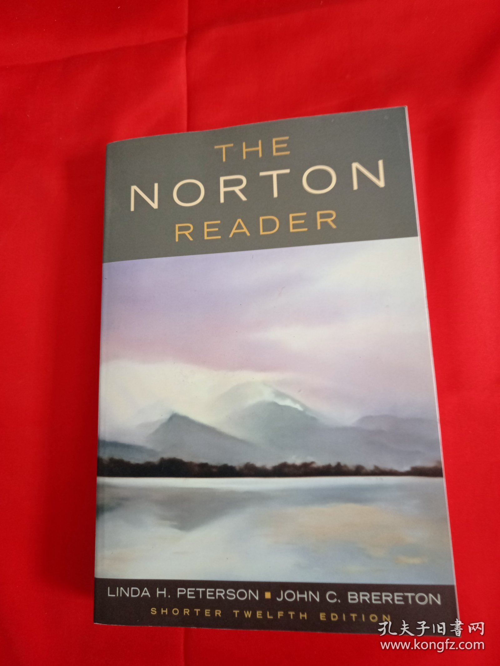 The Norton Reader: An Anthology of Nonfiction, Shorter Twelfth Edition