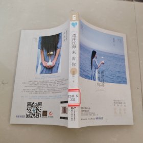 漂洋过海来看你