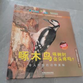 啄木鸟啄树时会头疼吗？：令人吃惊的动物奥秘