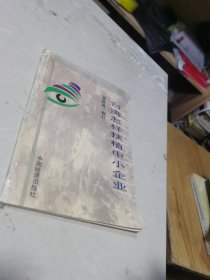 台湾怎样扶植中小企业