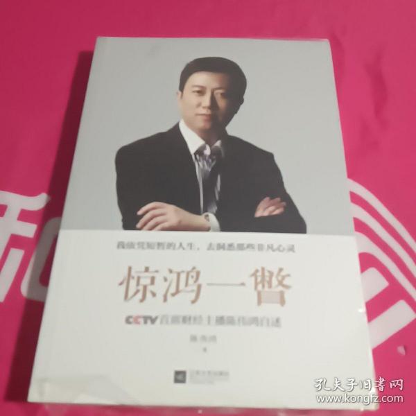 惊鸿一瞥：CCTV首席财经主播陈伟鸿自述