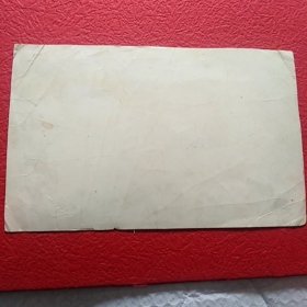 老照片，风华正茂，四化展宏图纪念革命卅周年，长春市公安局