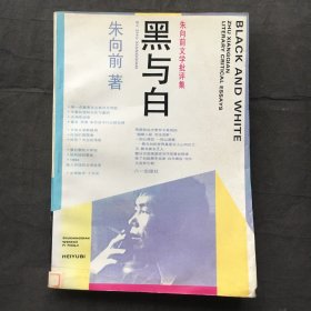 黑与白 :朱向前文学批评集