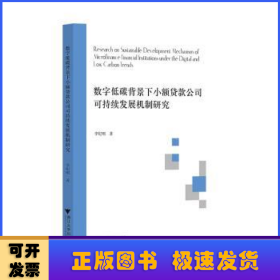 数字低碳背景下小额贷款公司可持续发展机制研究