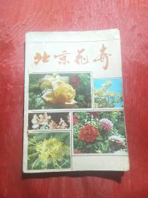 北京花卉