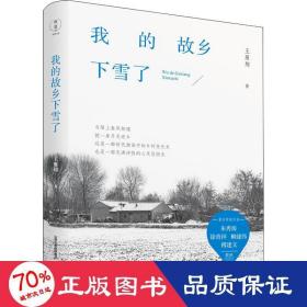 我的故乡下雪了 散文 王雁翔