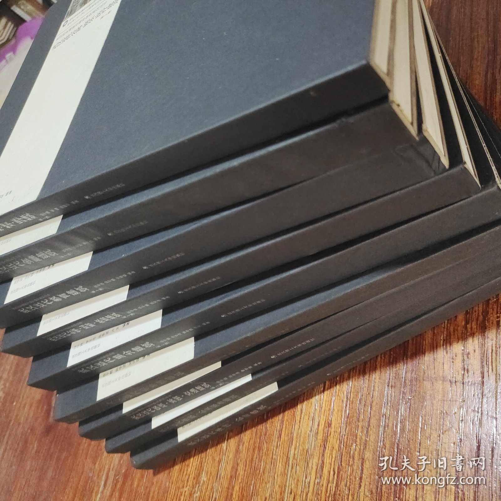 武汉历史建筑与城市研究系列丛书（武汉近代教育建筑，饭店 宾馆 交通建筑，公馆 别墅 故居建筑，市政 公共服务建筑，领事馆建筑，洋行公司建筑，里分建筑，金融建筑，娱乐医疗建筑（九本）