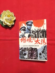 燃烧的太阳：国民党正面战场抗战纪实