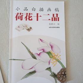 荷花十二品/小品白描画稿